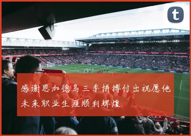 感谢恩加德乌三季拼搏付出祝愿他未来职业生涯顺利辉煌