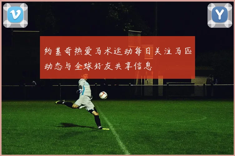 约基奇热爱马术运动每日关注马匹动态与全球好友共享信息