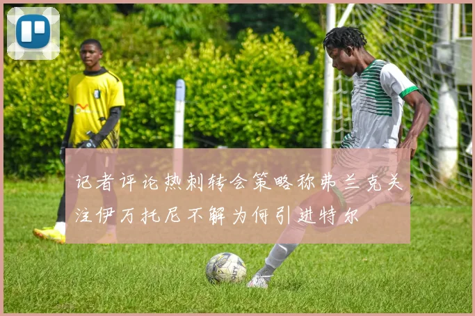 记者评论热刺转会策略称弗兰克关注伊万托尼不解为何引进特尔